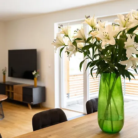 Mit C Apartament
