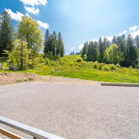 Mit C * Feldberg (Baden-Wurttemberg)
