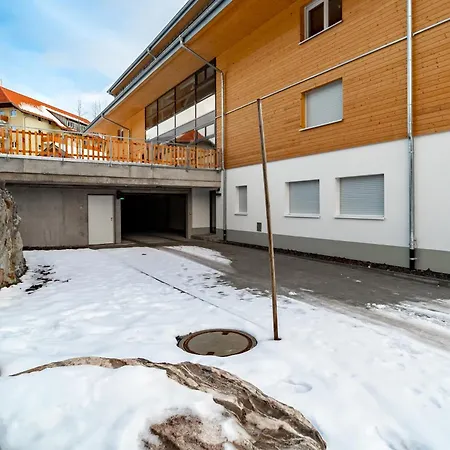 Mit C Apartment Feldberg (Baden-Wurttemberg)